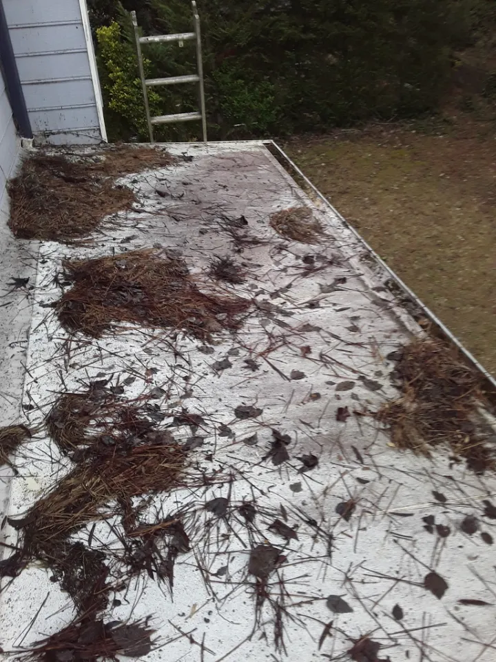 Commercial flat roof covered with pine straw, branches, and leaves before debris removal