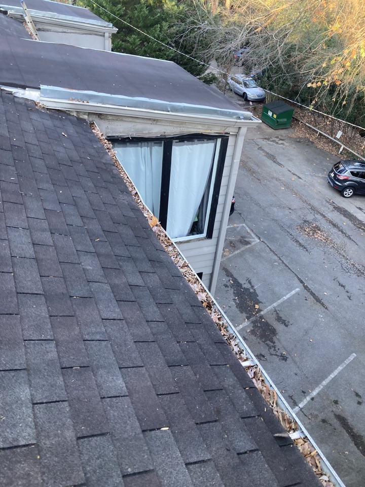 Gutter filled with leaves before cleaning