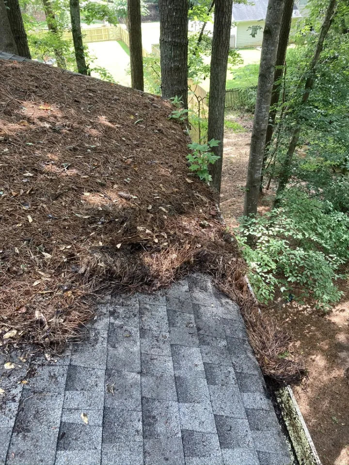 Residential shingle roof covered in pine straw and debris before removal