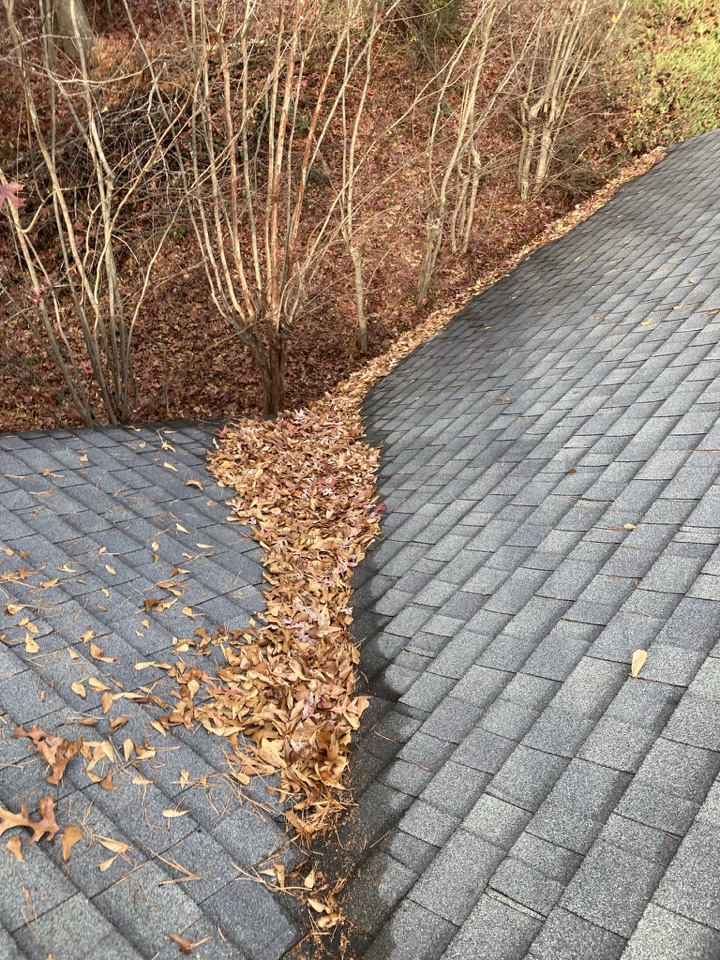 Roof valley packed with fallen leaves before cleanup